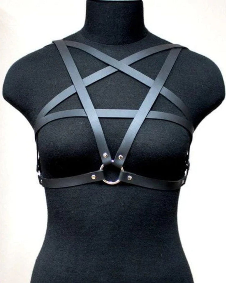 Marvi's Leather Harness