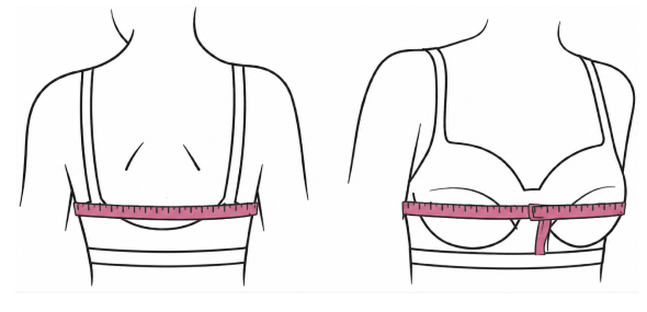 How to measure around the fullest part of the breasts